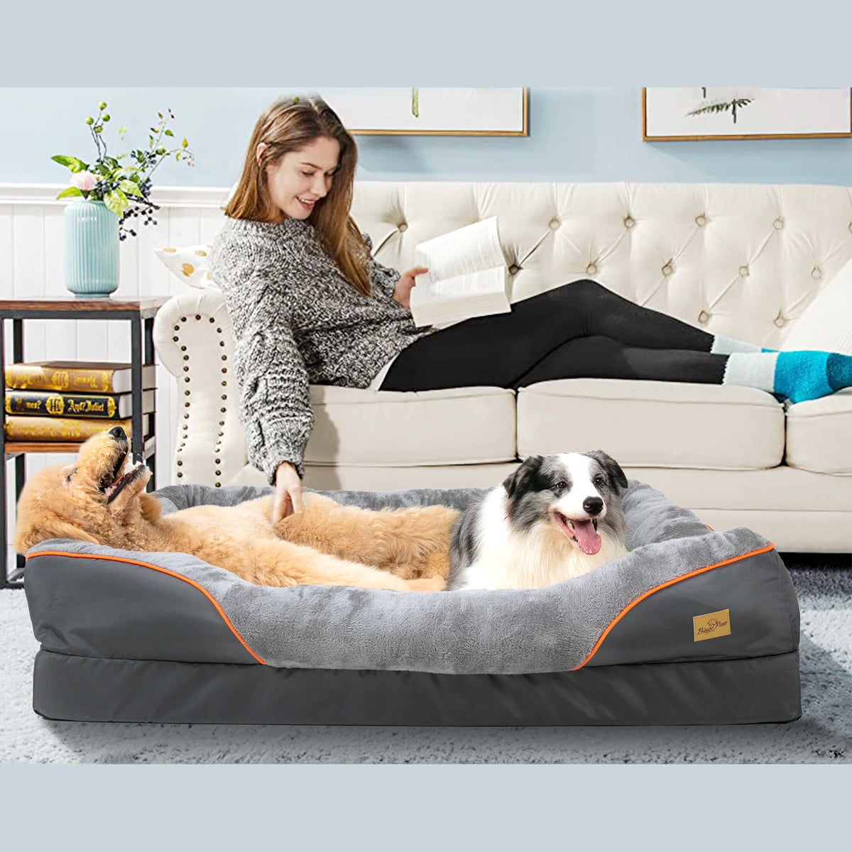 BINGOPAW Large Dog Bed With Anti Allergy Removable Cover