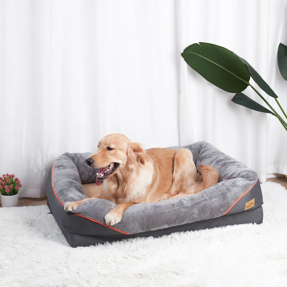 BINGOPAW Large Dog Bed With Anti Allergy Removable Cover